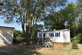 mobil-home sur terrain bucolique